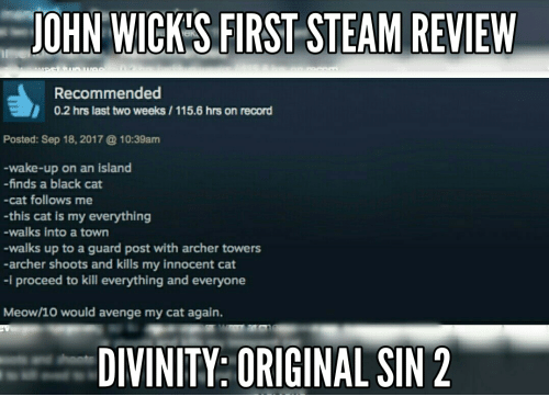 Divinity original sin 2 meme funny